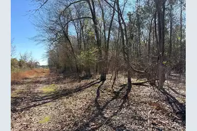 Bhl 12 Boise Cascade #Bhl 12, Bethune, SC 29009 - Photo 3