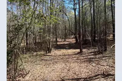 Bhl 12 Boise Cascade #Bhl 12, Bethune, SC 29009 - Photo 23