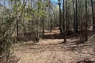 Bhl 12 Boise Cascade #Bhl 12, Bethune, SC 29009 - Photo 23