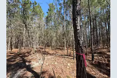 Bhl 12 Boise Cascade #Bhl 12, Bethune, SC 29009 - Photo 19