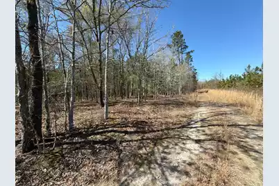 Bhl 12 Boise Cascade #Bhl 12, Bethune, SC 29009 - Photo 9