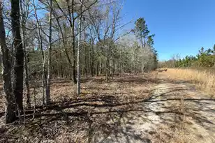 Bhl 12 Boise Cascade #Bhl 12, Bethune, SC 29009 - Photo 9