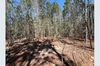 Bhl 12 Boise Cascade #Bhl 12, Bethune, SC 29009 - Photo 17