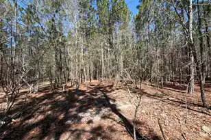 Bhl 12 Boise Cascade #Bhl 12, Bethune, SC 29009 - Photo 17