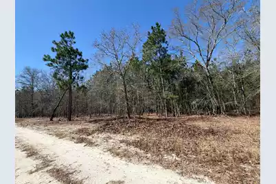 Bhl 12 Boise Cascade #Bhl 12, Bethune, SC 29009 - Photo 13