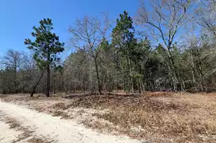 Bhl 12 Boise Cascade #Bhl 12, Bethune, SC 29009 - Photo 13