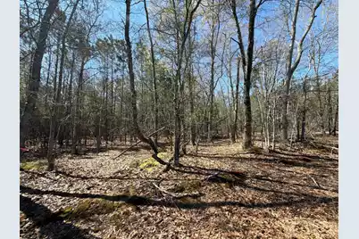 Bhl 12 Boise Cascade #Bhl 12, Bethune, SC 29009 - Photo 5