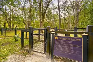 2565 Rutherford Way, Charleston, SC 29414 - Photo 63