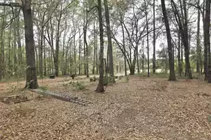 6810 Ingalsbe Dr, Ravenel, SC 29470 - Photo 27