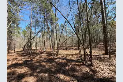 Bhl 13 Boise Cascade #Bhl 13, Bethune, SC 29009 - Photo 15