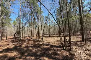 Bhl 13 Boise Cascade #Bhl 13, Bethune, SC 29009 - Photo 15