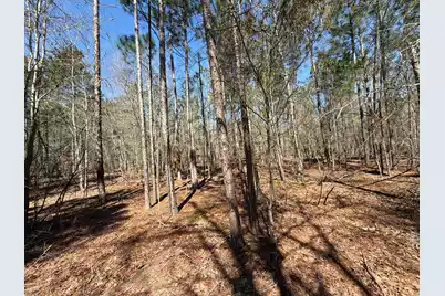 Bhl 13 Boise Cascade #Bhl 13, Bethune, SC 29009 - Photo 7