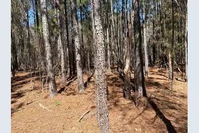 Bhl 13 Boise Cascade #Bhl 13, Bethune, SC 29009 - Photo 21