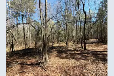 Bhl 13 Boise Cascade #Bhl 13, Bethune, SC 29009 - Photo 27