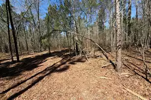 Bhl 13 Boise Cascade #Bhl 13, Bethune, SC 29009 - Photo 3