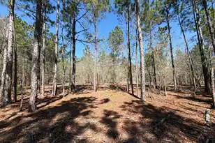 Bhl 13 Boise Cascade #Bhl 13, Bethune, SC 29009 - Photo 11