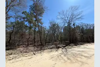 Bhl 13 Boise Cascade #Bhl 13, Bethune, SC 29009 - Photo 35