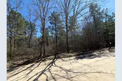 Bhl 13 Boise Cascade #Bhl 13, Bethune, SC 29009 - Photo 33