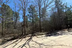 Bhl 13 Boise Cascade #Bhl 13, Bethune, SC 29009 - Photo 33