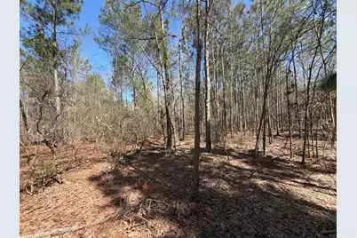 Bhl 13 Boise Cascade #Bhl 13, Bethune, SC 29009 - Photo 5