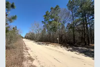 Bhl 13 Boise Cascade #Bhl 13, Bethune, SC 29009 - Photo 31