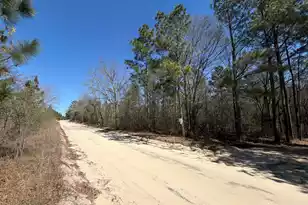 Bhl 13 Boise Cascade #Bhl 13, Bethune, SC 29009 - Photo 31