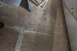 2800 Waldman Dr, North Charleston, SC 29406 - Photo 19