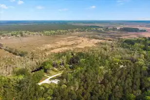 158 Crumley Rd, Walterboro, SC 29488 - Photo 57