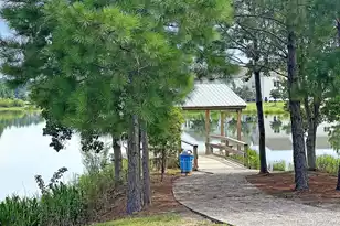 313 Citrus Dr, Summerville, SC 29486 - Photo 67