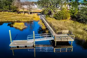 1017 Saltwater Cir, Johns Island, SC 29455 - Photo 3