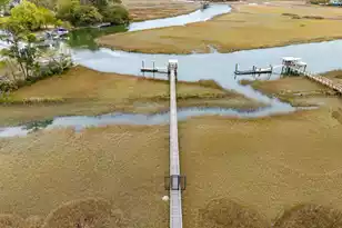 116 Antilles Cir, Charleston, SC 29492 - Photo 73