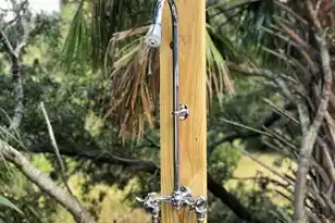 24 Commons Ct, Isle Of Palms, SC 29451 - Photo 23