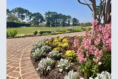 4173 Gnarled Oaks Lane, Johns Island, SC 29455 - Photo 27