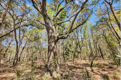 4173 Gnarled Oaks Lane, Johns Island, SC 29455 - Photo 13