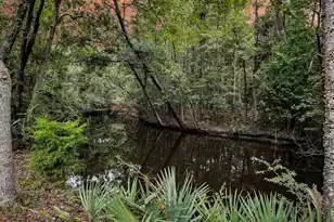 1195 Michelle Ln, Johns Island, SC 29455 - Photo 51