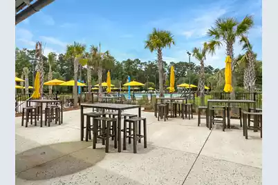 225 Witherspoon Street, Summerville, SC 29486 - Photo 61