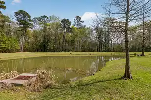 1496 Roustabout Way, Charleston, SC 29414 - Photo 45