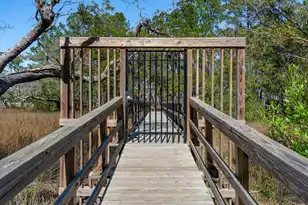 3875 Sawyers Island Dr, Mount Pleasant, SC 29466 - Photo 83