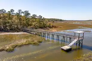 3875 Sawyers Island Dr, Mount Pleasant, SC 29466 - Photo 83
