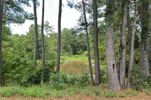 983 Awendaw Lakes Blvd, Awendaw, SC 29429 - Photo 55