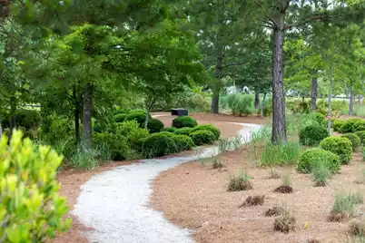 262 Great Lawn Drive, Summerville, SC 29486 - Photo 47