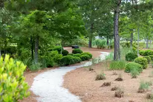 262 Great Lawn Dr, Summerville, SC 29486 - Photo 47