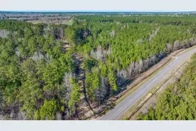 0 Lowcountry Highway, Ruffin, SC 29475 - Photo 15