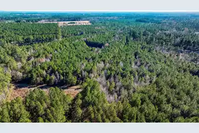 0 Lowcountry Highway, Ruffin, SC 29475 - Photo 13