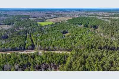 0 Lowcountry Highway, Ruffin, SC 29475 - Photo 5
