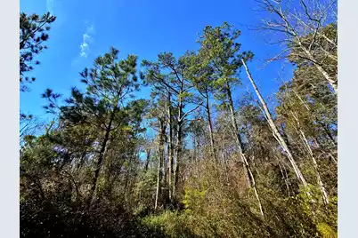 1837 Columbus Road, Georgetown, SC 29440 - Photo 25