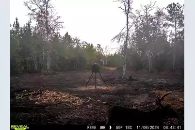 1837 Columbus Road, Georgetown, SC 29440 - Photo 33