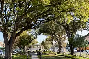 113 Tea Farm Rd, Summerville, SC 29483 - Photo 93