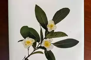 113 Tea Farm Rd, Summerville, SC 29483 - Photo 89