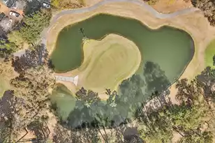 4802 Stono Links Dr, Hollywood, SC 29449 - Photo 49